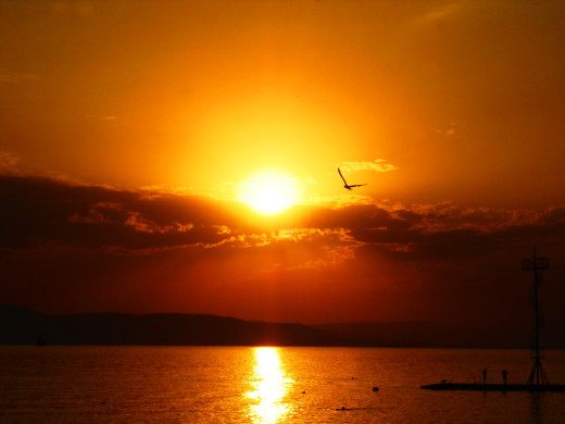 37705 (a): :1600x1200
